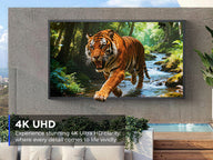 HARZHI 4K Ultra-Bright Outdoor Smart TV (55" / 65" / 75")